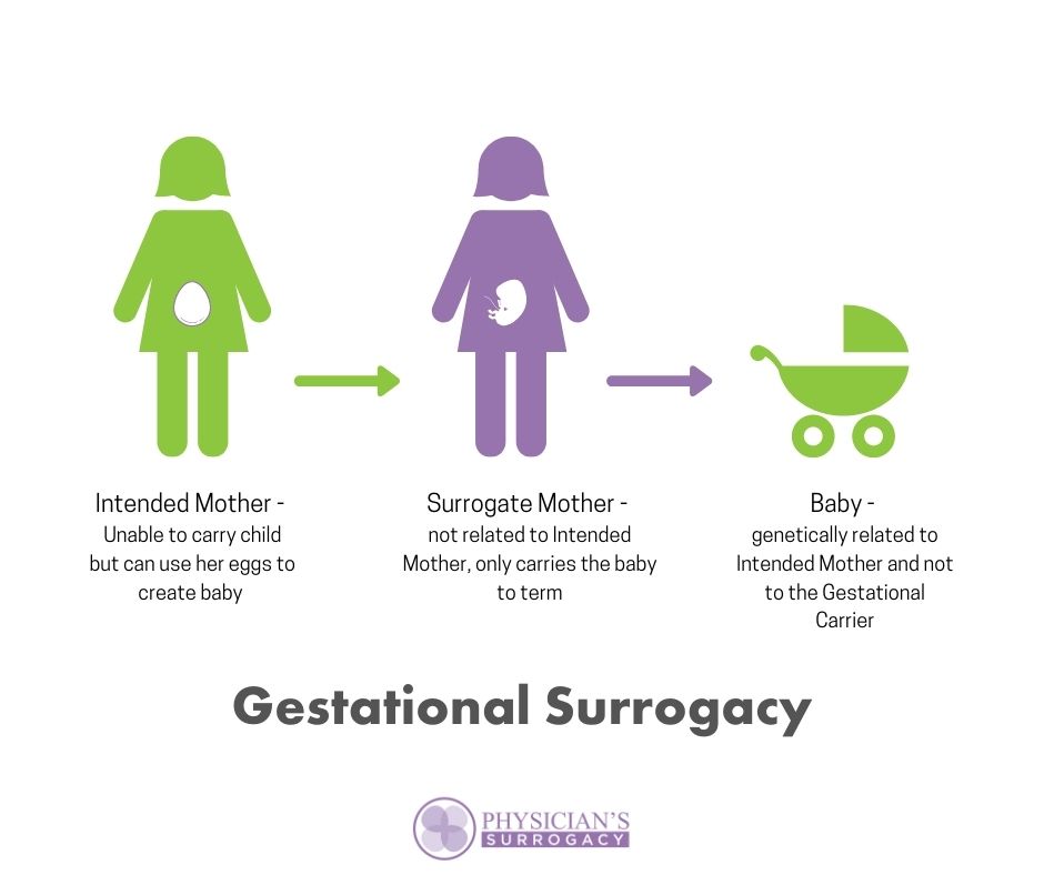 How Does Surrogacy Work Steps Of Gestational Surrogacy