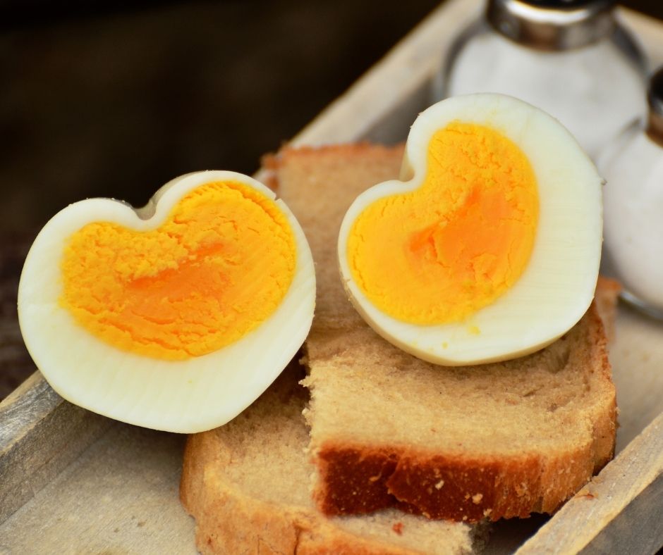 eggs are important for surrogacy pregnancy nutrition
