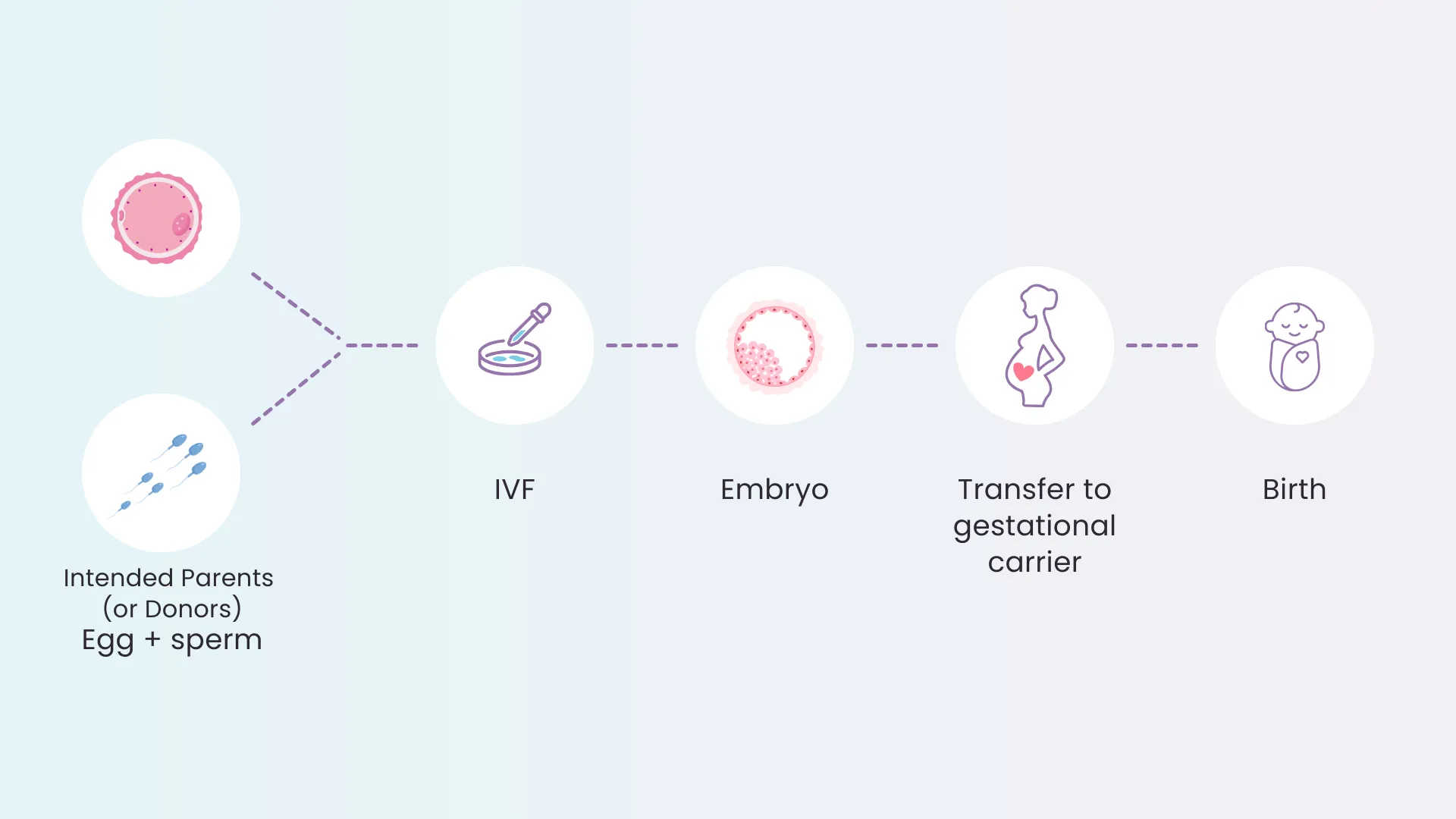 Diagram of how gestational surrogacy works for intended parents using IVF