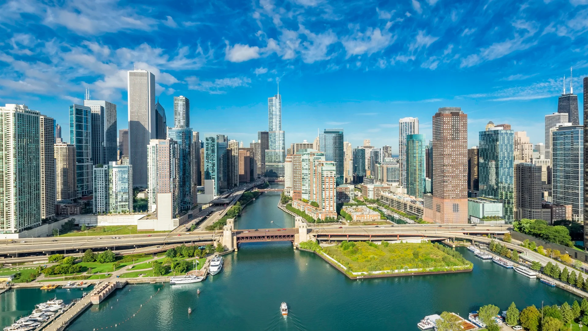 best-surrogacy-agencies-in-chicago illinois