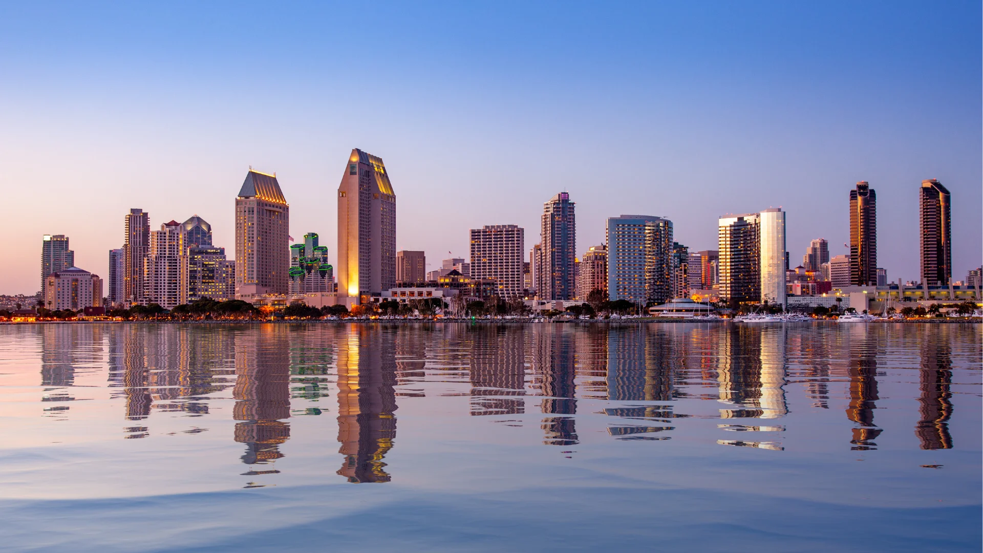 best-surrogacy-agencies-in-san diego california